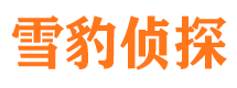 天台寻人公司